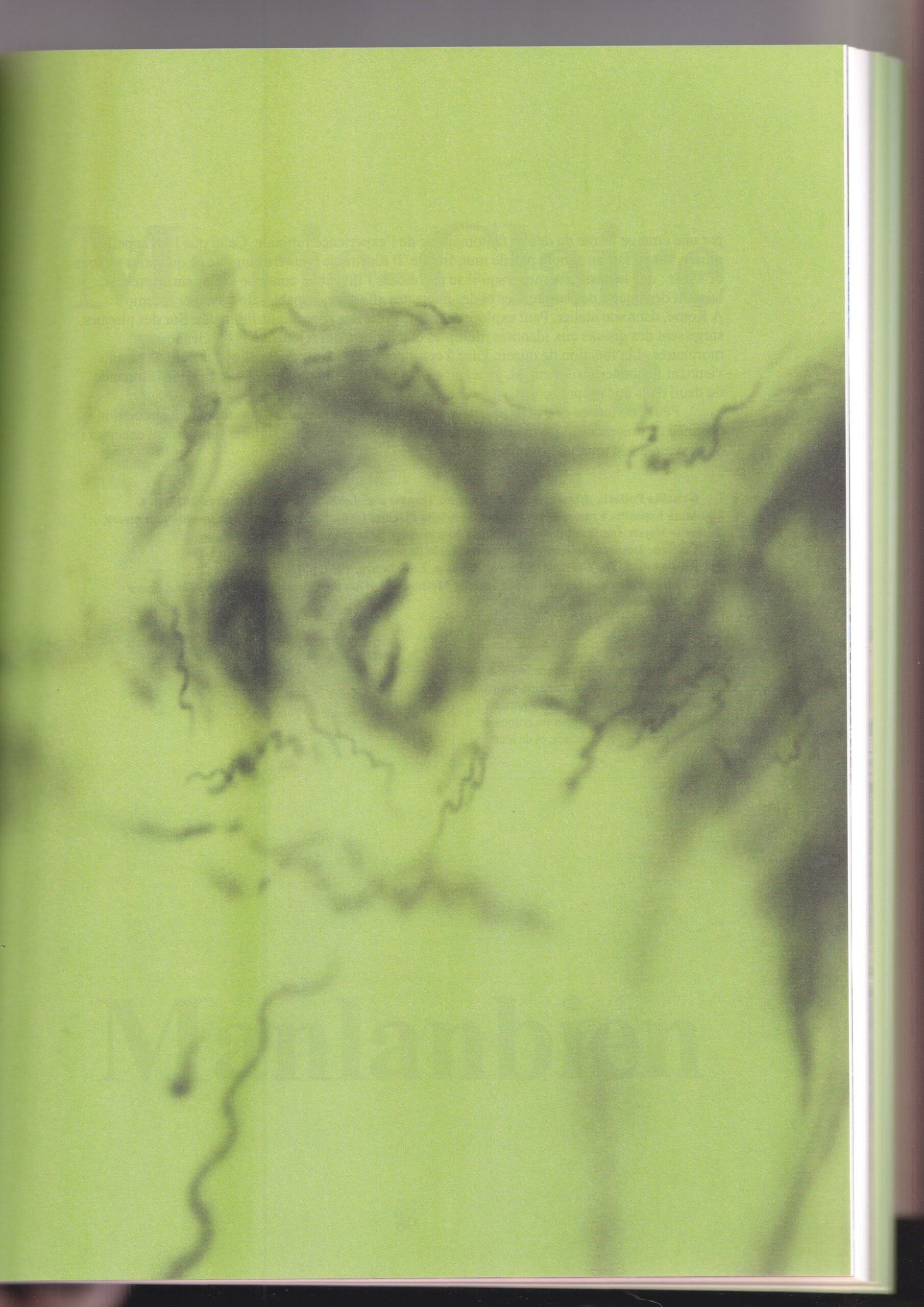 (T)ROMA MI AMOR(T),  Paul Maheke, 2026